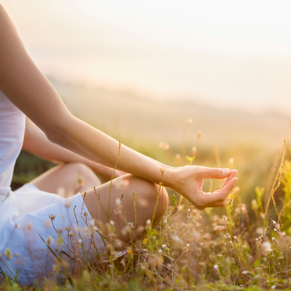 Forest Bathing: Sunrise Meditation - logo